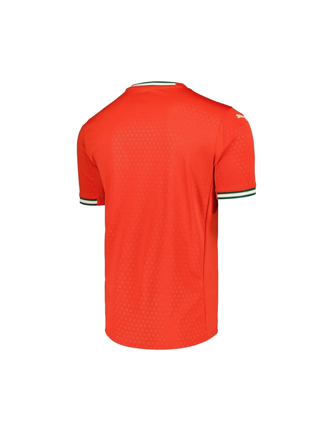 MAILLOT PORTUGAL DOMICILE 2025-2026